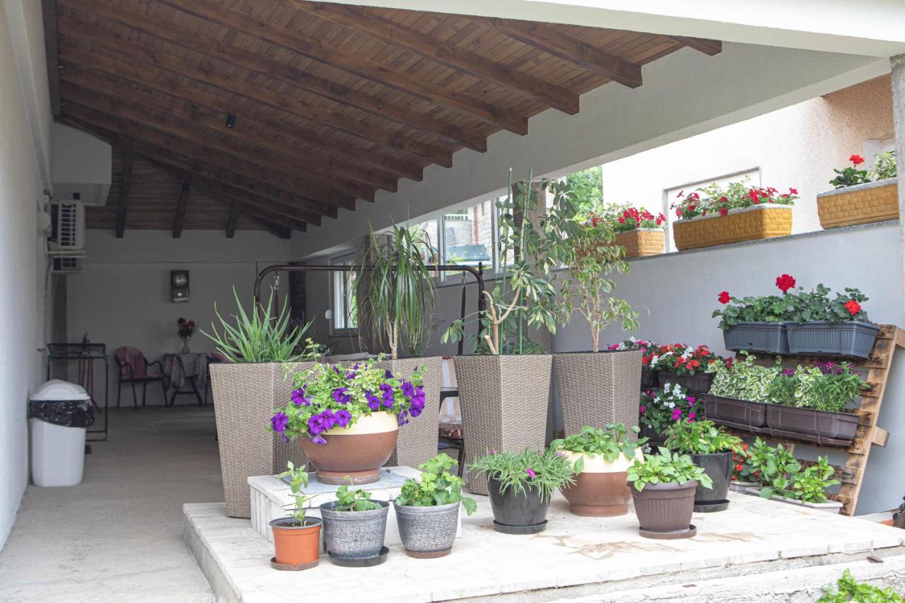 Apartmani Budimcic 트레빈예 외부 사진